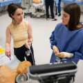 RCT05409-20250822-Med